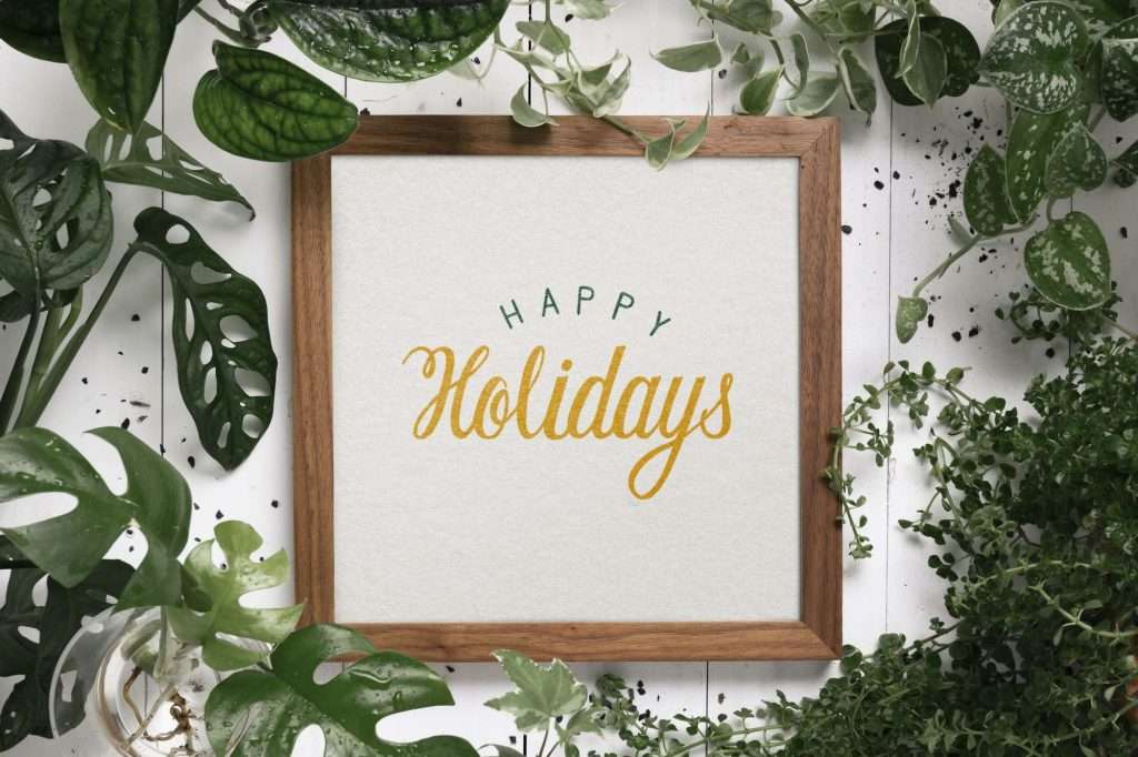 Picture frame with message happy holidays in plant background