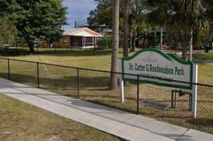 The Future of Dr. Carter G. Woodson Park